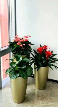海曙花木店网上购买-海曙办公室植物租赁-鄞州绿化养护服务-慈溪办公室植物租赁店